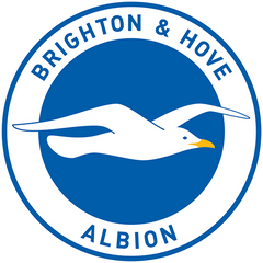 Brighton & Hove Albion Kids
